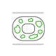 Acetate Temple