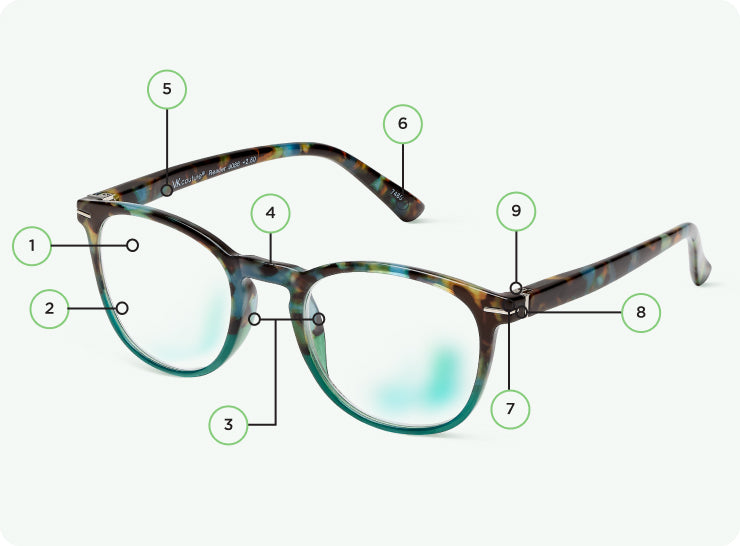 Anatomy of eyeglasses online